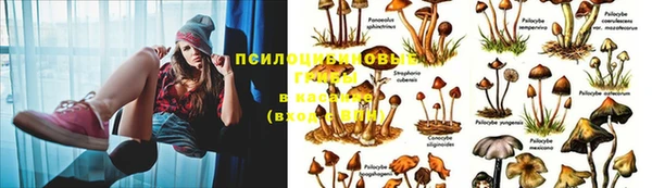 марихуана Киренск
