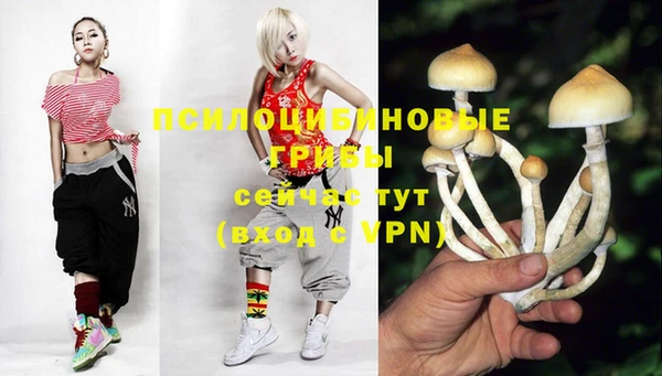 MDMA Premium VHQ Карталы