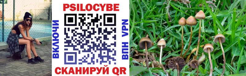 Купить где  Орлов  Псилоцибиновые грибы прущие грибы 